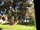 p005.jpg