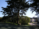 p036.jpg