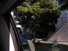 p048.jpg
