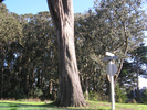 p059.jpg