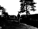 p115.jpg