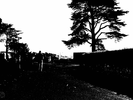 p116.jpg