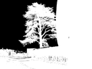 p119.jpg