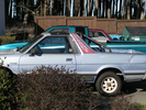 p137.jpg