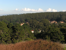 p143.jpg