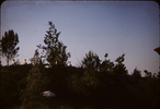 p11.jpg