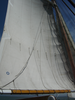 DSC00795.JPG