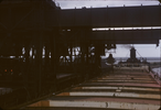 p31.jpg