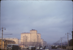 p53.jpg