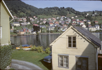 p184.jpg