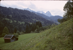 p238.jpg