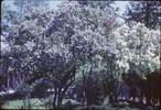 p01.jpg