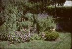 p03.jpg