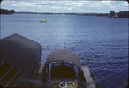 p20.jpg