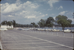 p31.jpg