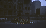 p06.jpg