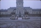 p19.jpg