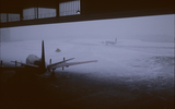 p40.jpg