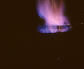 p06.jpg