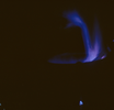 p07.jpg