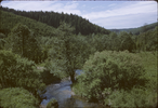 p39.jpg