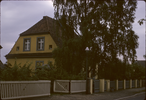 p41.jpg