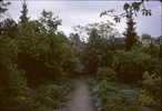 p43.jpg