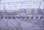 p50.jpg