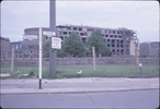 p53.jpg