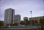p75.jpg