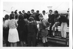 p36.jpg