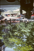 p05.jpg