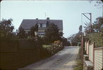 p03.jpg
