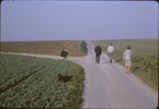 p12.jpg