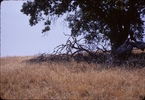 p07.jpg