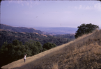 p20.jpg