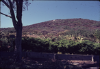 p03.jpg