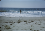 p06.jpg