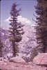 p01.jpg