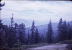 p23.jpg