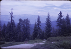 p24.jpg