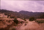p30.jpg