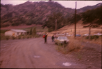 p33.jpg