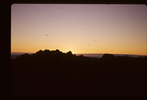 p02.jpg