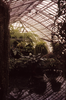 p05.jpg