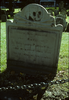 p24.jpg
