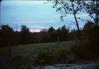 p31.jpg