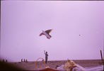 p27.jpg