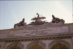p61.jpg