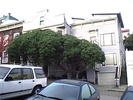 p10.jpg